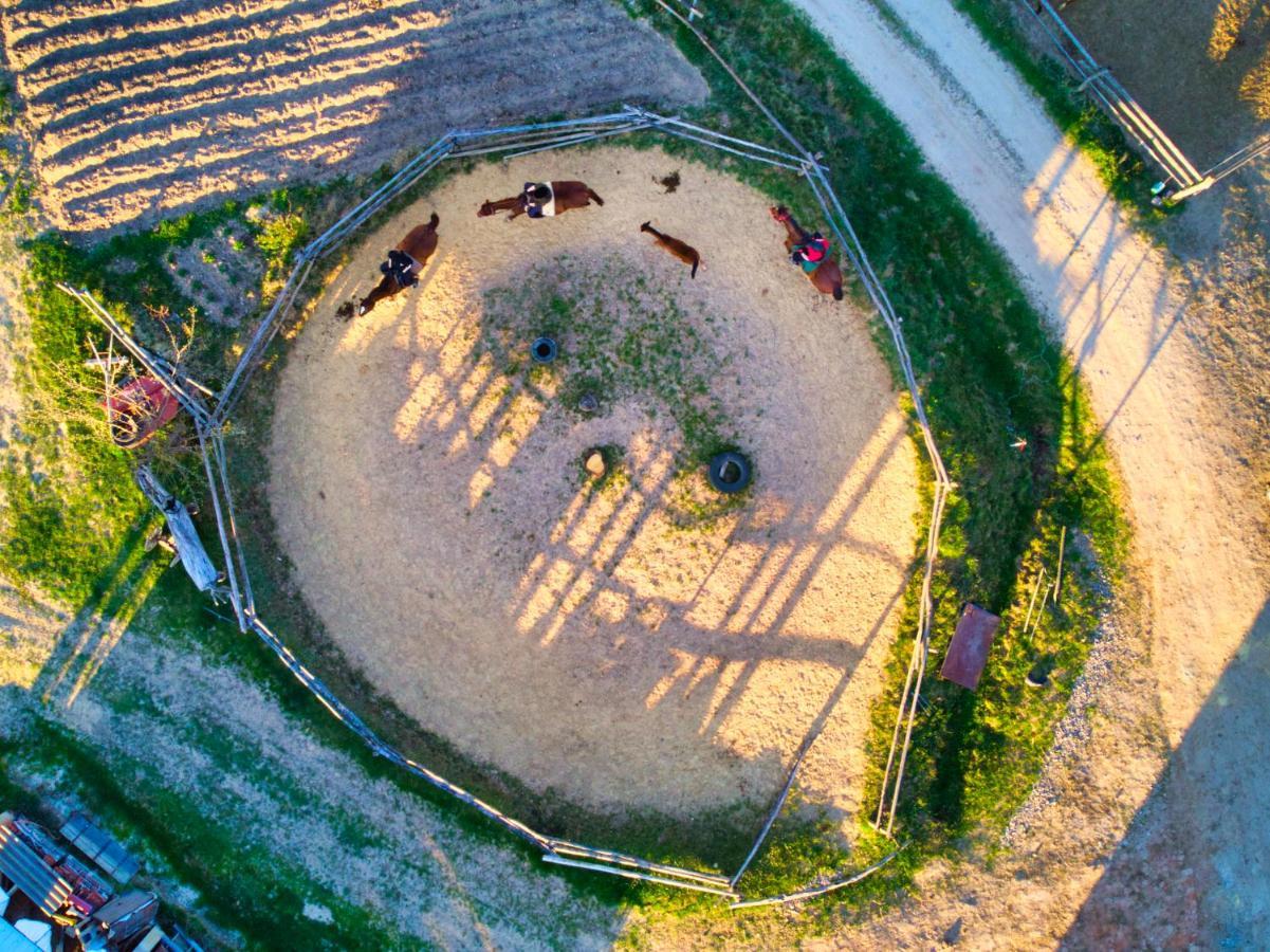 Gospodarstwo Agroturystyczne "Paryja" Olpiny 외부 사진