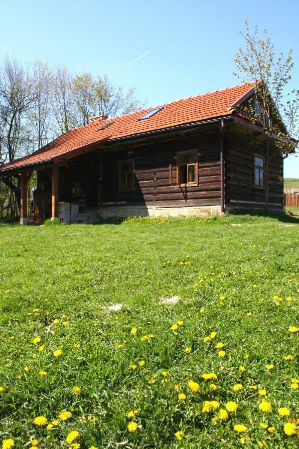 Gospodarstwo Agroturystyczne "Paryja" Olpiny 외부 사진